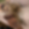 [JBVideo.com] Dahlia Sky (Dahlia Sky's Foot Tease 2 / 04.02.2015) [2015 ., Solo, Nylon, Feet, Stockings, Foot, Fetish, 720p] thumb