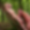 [SuperGayHero.com / Men.com] Tarzan: A Gay XXX Parody Part 1 (Colton Grey, Luke Adams) [2016 ., Muscle, Anal/Oral Sex, Big Dick, BlowJob, Hairy, Rimming, Flip-Flop, Tattoos, Outdoor, Cumshots, Masturbation, 720p] thumb