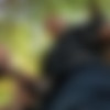[RagingStallion.com] Trapped. Scene 3 (Sean Duran, Jason Vario) [2017 ., Muscles, Kissing, Cumshot, Blowjob, Anal, Rimming, Shaved Head, Tattoo, 1080p] thumb