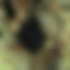 [Mature.nl] Laura S. (38) [720p/26.01.2015 ., MILF, Brunette, Natural Tits, Big Tits, Big Ass, Stockings, Shaved Pussy, Titty Play, Masturbation, Solo, Dildo ] thumb