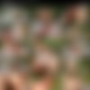 [LucasEntertainment.com] Bogdan Gromov Takes Andrey Vic's Uncut Dick / LVP249-03 Beach Blanket Bareback, scene 3 [2016 ., Anal Sex, Bareback, Blowjob, Deep Throat, Muscles, Kissing, Rimming, Outdoors, Cumshots, 720p] thumb