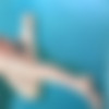 Man [Erotic] [1957, , JPG] thumb