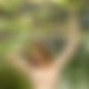 [domai.com]  2009 (25 ) thumbnail