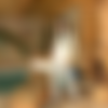 [inthecrack.com] #123 Black Angelica [2007, Solo, Toys, Peeing, Gyno, 1080p] thumb