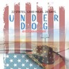 Americana 2025 BluRay 1080p ReMuX AVC TrueHD Atmos 7 1-RFX thumb