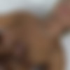 [CzechCasting.com / Czechav.com] Anna (0635 / 15.11.15) [2015 ., Casting, All Sex, BlowJob, Hardcore, Posing, Mature, Talking, 1080p] thumb