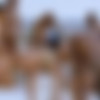 [Blacked.com] Teanna Trump, Vicki Chase & Adriana Chechik (Bad Bitches) 4K [2019-11-25, BBC, Anal, Hardcore, Interracial, DP, Facial, Tattoos, Skinny, Orgy, 2160p] thumb