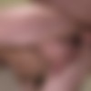 [Str8ToGay.com / Men.com] Naughty Boys Part 1 (Asher Hawk, Dennis West) [2016 ., Muscle, Anal/Oral Sex, Big Dick, BlowJob, Rimming, Tattoos, Hairy, Cumshots, Masturbation, 720p] thumb