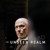 The Unseen Realm [2019] / H264 / MKV / WEB / 1080p / AAC / Subs / KjM thumb