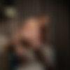 [Teamskeet.com/Mylf.com] Sophia Locke 2160p MegaPACK thumb