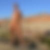 DOMAI.COM (4879 ,       2009) thumbnail