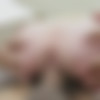 [ExxxtraSmall.com / TeamSkeet.com] Piper Perri - Teeny Weenie Blonde Meets Huge Cock [Jan 22 2015, All Sex, Teen, Babe, Big Dicks, Blonde, Blowjobs, Cumshots, Hardcore, 720p] thumb
