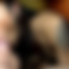 [LadyboyObsession.com] Tongye Boobed Up For Cum Together Bare Sex (Jan, 2026) [2026, Shemale, Transsexual, Hardcore, Big Tits, Anal, Blowjob, Bareback, Asian, Ladyboy, POV, Cumshot, 1080p] thumb
