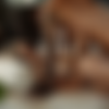 [DorcelVision.com] James et Lola vol.3 (2022) thumbnail
