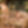 [BigDaddy.com] Bareback Attack - These guys can't stop cumming (Caleb Moreton and Joey Intenso) [2012 ., Bareback, Oral/Anal Sex, Big Dick, Blowjob, Cum Eating, Cumshot, Facial, Muscle, 720p] thumb