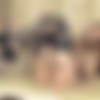 [VintageFlash.com] Stella Cox ( I made myself cum for you! / 15.12.15) [2015 ., Big Tits, Black Nylons, Blonde, Blouse, Bullet Bra, Full Fashioned, Garter Belt, Lace, Lounge, Panties, Solo, Stilettos, Strip, Vintage Nylons, 720p] thumb
