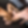 [GuysInSweatPants.com] Chandler breeds Karson (Karson Ambrose, Chandler Holt) [2018 ., Anal Sex, Bareback, Blowjob, Latinos, Masturbation, Muscles, Piercing, Tattoos., 1080p] thumb