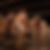 [LucasEntertainment.com] Ibrahim Moreno Bareback Double-Penetration Orgy (Alejandro Castillo, Alex Kof, Bogdan Gromov, Javi Velaro, Marq Daniels) / LVP258-01 Raw Double Penetrations 4: Stuffed!, scene 1 [2017 ., Anal, Bareback, Group, DAP, 720p] thumb