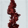 The Death That Awaits (2024) 1080p BluRay REMUX Dts-HDMa5 1 AVC-d3g thumb