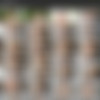 [AsianTgirl.com] Alice / Meet Alice! (13 June, 2022) [2022 ., Shemale, Transsexual, Solo, Asian, Ladyboy, Posing, 1080p, SiteRip] thumb