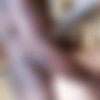 [Onlyfans.com] Nathalia Fontes - 134 Video [2020 ., Shemale, Threesome, Masturbation, Solo, Male On Shemale, Shemale On Female, Big Dick, POV, Tattoo, Shower, Shemale On Male, Blowjob, Stocking, Hardcore, Bareback, Anal, Dildo, Cumshot, Cum On Ass, Cum On Face, CamRip] thumb