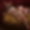 [ART, Comix] TotesFleisch8 | tf8 |   / Art Collection /   (https://www.patreon.com/tf8) [2007-2025, Furry, Yiff, Yaoi/Gay, Futa/Futanari, Group, Vaginal, Blowjob, Anal, Oral, Solo, Creampie, Big Ass, Big Tits, BBW, Yuri/Lesbian] [JPG PNG GIF SWF] [eng, rus] thumbnail