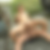 [Outinpublic.com / Bigdaddy.com] Flying High For Dick [2012 ., Oral/Anal Sex, Bareback, Big Dick, Outdoor, Public, Masturbation, Cumshot, 720p, SiteRip] thumb
