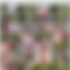 [DDFBusty.com / DDFNetwork.com] Harmony Reigns (British Bombshell Bounces Big Tits In Cowgirl And Doggy Style Action) [26.07.2015 ., Big tits, Cum on tits, Handjob, Outdoors, Tattoo, Missionary, Big ass, 720p] thumb