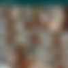 [OnlyFans.com] Nguyen Tien Quan (ntqvn5) [154] [2020-2023 .., Asian, Muscle, Big Dick, Anal, Oral, Posing, Toy, Masturbation, Cumshots, CamRip] thumbnail
