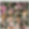 [ATKHairy.com] Kandi ( Toys / 02.09.15) [2015 ., Hairy, Solo, Toys, 1080p] thumb
