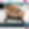 [Twistys.com] 2013-11-16 Danielle Trixie - Welcome To Your Fantasy (30742) [2013, Masturbation, Solo, Teen, Shaved Pussy, Tattoos, Big Boobs, Shoes, 720p] thumb