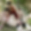 [Staxus.com] Tim Law Delivers A Hard Package To His Horny Client For An Outdoor Flip-Flop Fuck! (Alexander Dorch (Sammy Danko), Tim Law) [2014 ., Anal/Oral, Bareback, Cumshots, Flip-Flop, Masturbation, Outdoors, Rimming, Tattoos, Twinks, 720p] thumb
