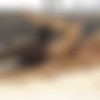 [Black4k.com] Black4k Siterip  16.09.2020 (11 ) [All Sex, Blowjob, Cowgirl, Doggy Stile, IR, 720p] thumbnail