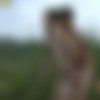 [Mike18.com] Alex seduce blond boy (Kost, Alex) [2015 ., Anal Sex, Blowjob, Hardcore, Masturbation, Teens, SiteRip] thumbnail