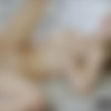 [Blacked.com] Alli Rae (Blonde Girlfriend Loves Black Cock / 22.09.2014) [All sex, Teen, Big Cock, Blowjob, Interracial, Hardcore, 720p, HDRip] thumb