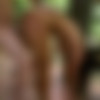 [ColombiaFuckFest.com, BangBros.com] Sofia AKA Sofia Nix, Peter Green - Fucking Colombian Amateur Tight Pussy Is Always Great [2014-03-08, Amateur, Babes, Brunette, Big Ass, Big Cock, Big Tits, Blowjob, Cumshot, Deep Throat, Doggystyle, Facial, GAG, Gonzo, Hardcore, Handjob, Latina, Natural Tits, POV, Swallow, Squirt, Straight, 1080p, Upscale] thumb