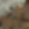 [JoyBear.com] Belle O’Hara & Honour May - Connected (07.07.22) [2022 ., Lesbians, Toys, Strapon, 1080p] thumbnail
