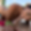[Pawg.com / BangBros.com] Aimee Black ( Aimee and her perfect ass / 15.11.13 / pwg12169) [2013 ., All Sex, 720p] thumbnail