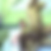 [Men.com & TheStr8toGay.com] Camping Ground Bait (Jessie Colter & Hunter Ford) [2011 ., Oral/Anal Sex, Muscle, Hairy, Tattoos, Outdoor Sex, SiteRip] thumbnail