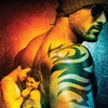 Force [2011] / 1080p / WEB / H264 / EAC3 / Hindi / Subs / MKV / KHN thumb