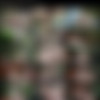 [BabyGotBoobs.com / Brazzers.com] Ashly Anderson - Tempting The Trespasser [2018-10-26, Big Tits, Brunette, Deep Throat, Facial, Outdoors, Straight, Tattoos, Titfuck, Teen, 720p] thumb