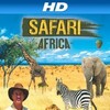 3D Safari Africa 2011 1080p BluRay x264-SADPANDA thumb
