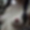 Wednesday Family Traditions (AiPorn) [2026, 3DCG, AI, Big tits, Oral, Big Ass, Big Tits, Vaginal, WEB-DL] [eng] [2160p] thumbnail