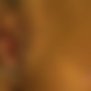 [ATKGirlfriends.com] Anissa Kate (Las Vegas 2/3) [2014 ., POV, Creampie, Blowjob, Footjob, Orgasm, All Sex, 1080p] thumb