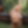 [TransAngels.com] Three Nympho Nymphs (TransAngels.com) [2023 ., Transsexuals, Shemale, Bubble Butt, Tattoo, Latina, High Heels, Big Tits, Blonde, Brunette, Threesome, Blowjob, Deep Throat, Face Fuck, Gagging, Spanking, Anal, Trans Fucks Trans, Cowgirl, Doggystyle,, 2160p, Upscale] thumbnail