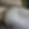 [Machofucker.com] Dominican Monster Dick (El Burro & Marco) [2016 ., Oral/Anal Sex, Hunk, Black, Bareback, Huge Dick, Interracial, 720p] thumb