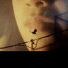 DIRECT LIGHT [1995] / 720p / Unknown / H264 / AAC / Japanese / MKV thumb