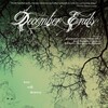 December Ends [2006] / MPEG2 / VOB IFO / DVD / SD / AC3 / NOGROUP thumb
