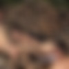 [Staxus.com] Staxus Classic: Boys Of Summer - Scene 1 - Remastered in HD (Thomas Dyk, Thomas Wolf, Scott Williams) [2017 ., Outdoor, Group Sex, Threesome, Blowjob, Anal, Rimming, Spit Roasting, Facial Cumshot, Twinks, Uncut, 720p] thumb