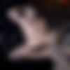 [ButchDixon.com] Zach & Chase (Zach & Chase) [2017 ., Anal Sex, Bareback, Blowjob, Hairy, Tattoos, Kissing, Cumshots, 720p] thumb